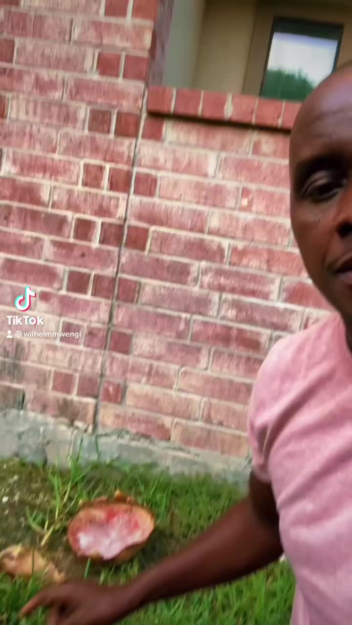  ......mmwengi  'recent videos' 