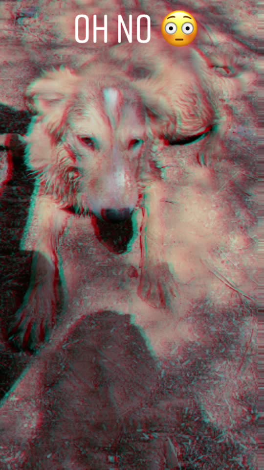  ......rthusky  'recent videos' 