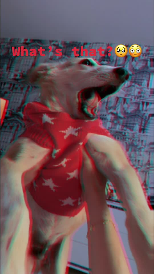  ......rthusky  'recent videos' 