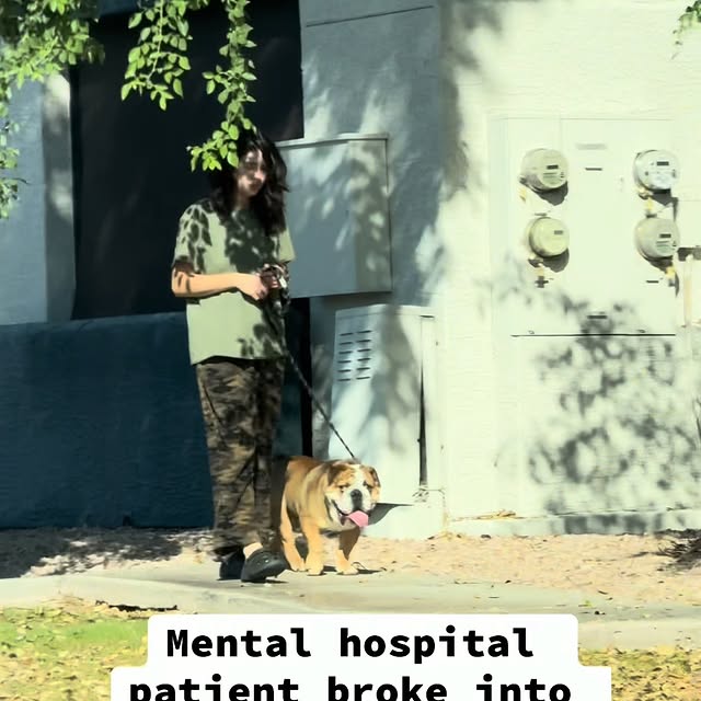  ...ral   'recent posts' 