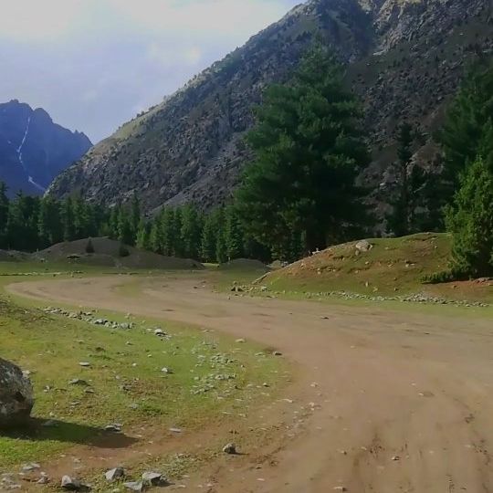  ......usafzai   'recent posts' 