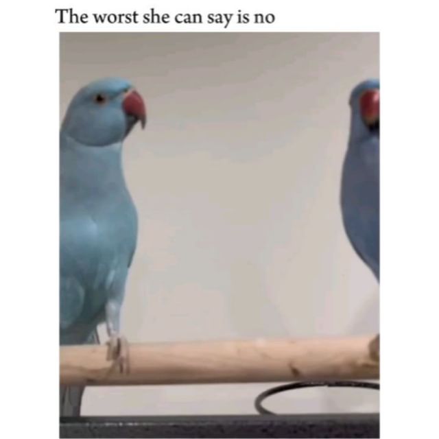  ......sloveig   'recent posts' 