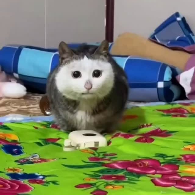  .......tie_cat   'recent posts' 