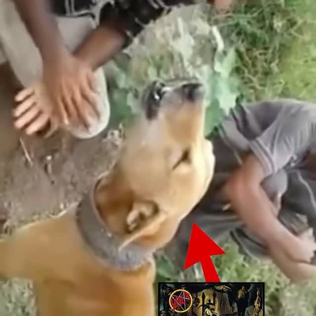  ....lmeme   'recent posts' 