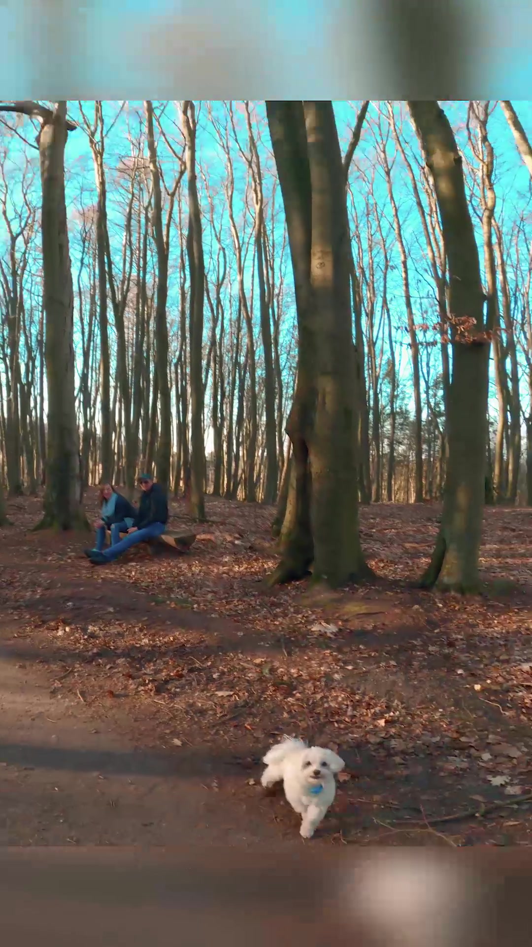  ....n_art  'recent videos' 