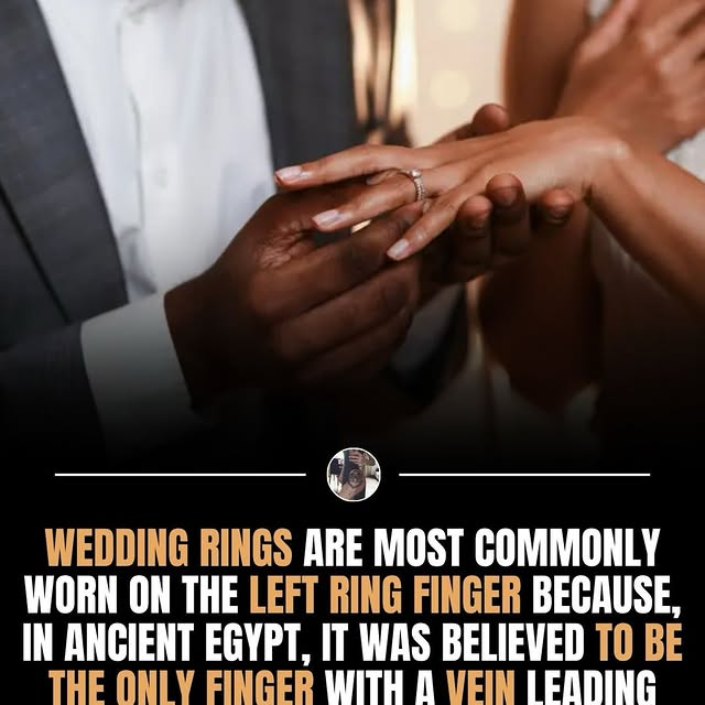  ........ngtattoos   'recent posts' 