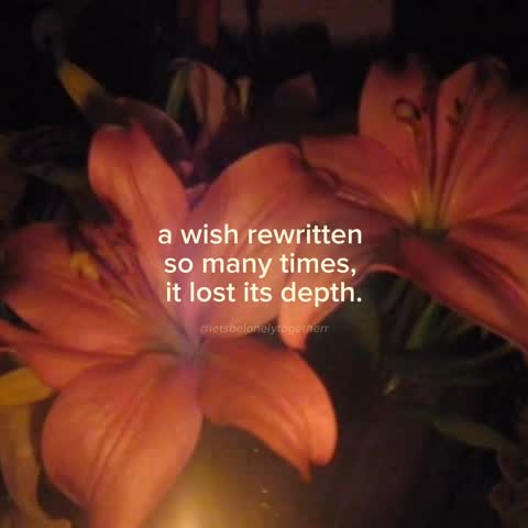  ..........lytogetherr   'recent posts' 