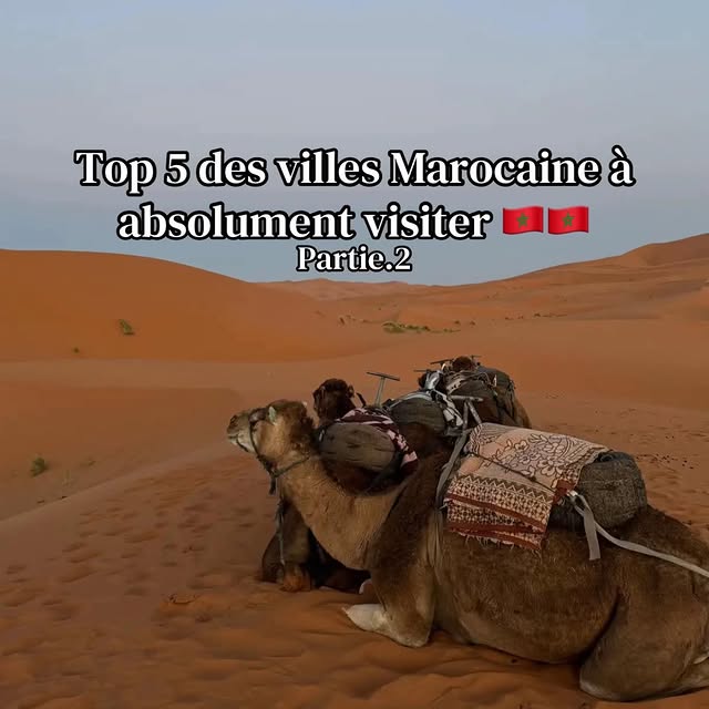  .......moroccan   'recent posts' 
