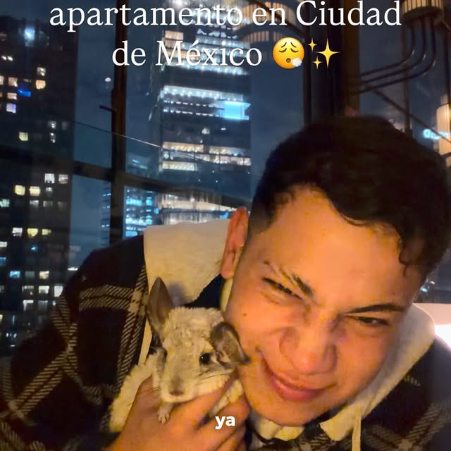  ........del_exito   'recent posts' 