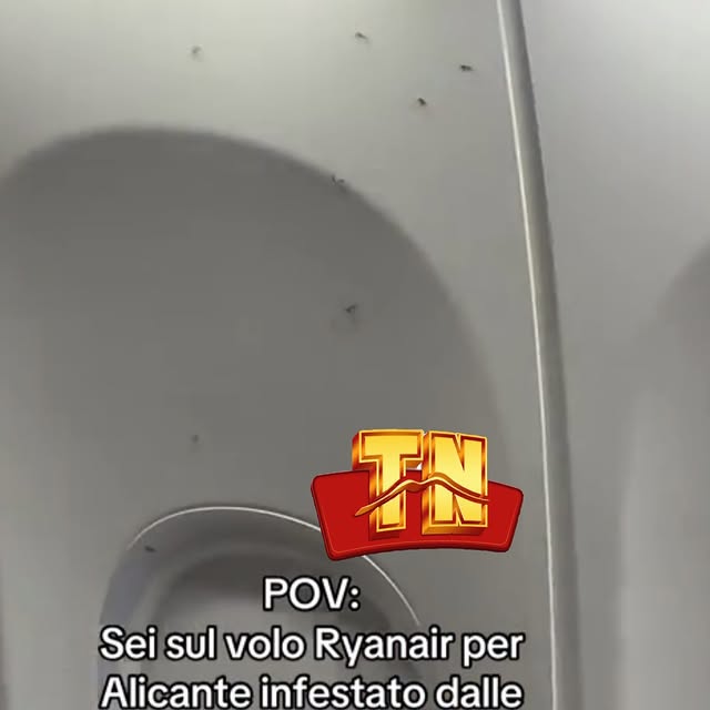  ........oletano_   'recent posts' 