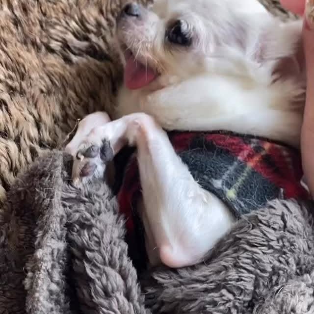  .......uapuppy   'recent posts' 