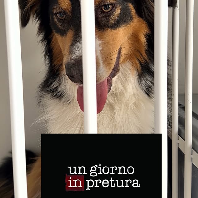  ....mente   'recent posts' 