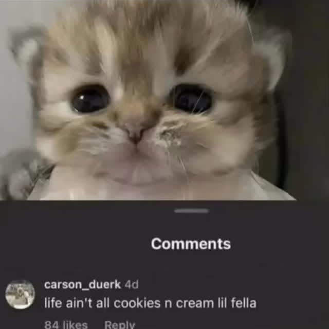  ....memes   'recent posts' 