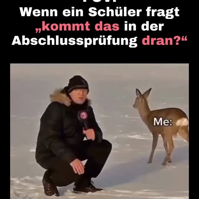  ........en.memes   'recent posts' 