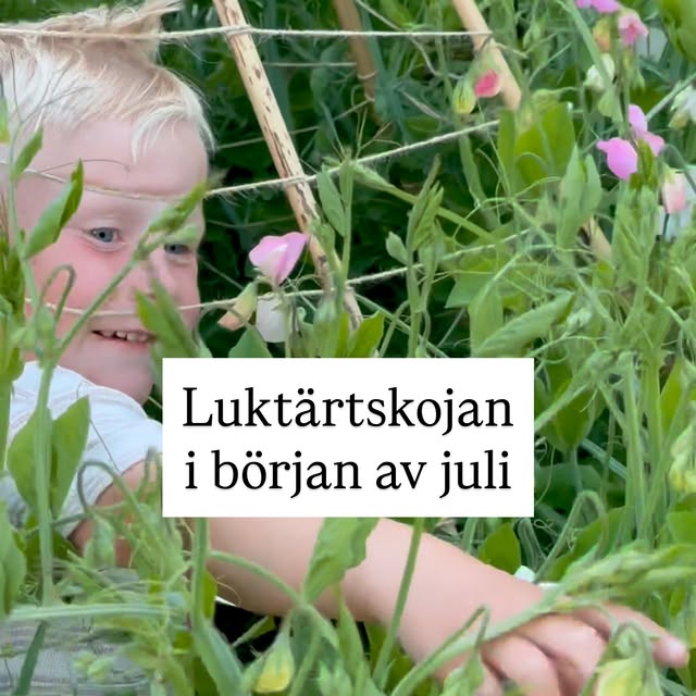  ......pyssel   'recent posts' 