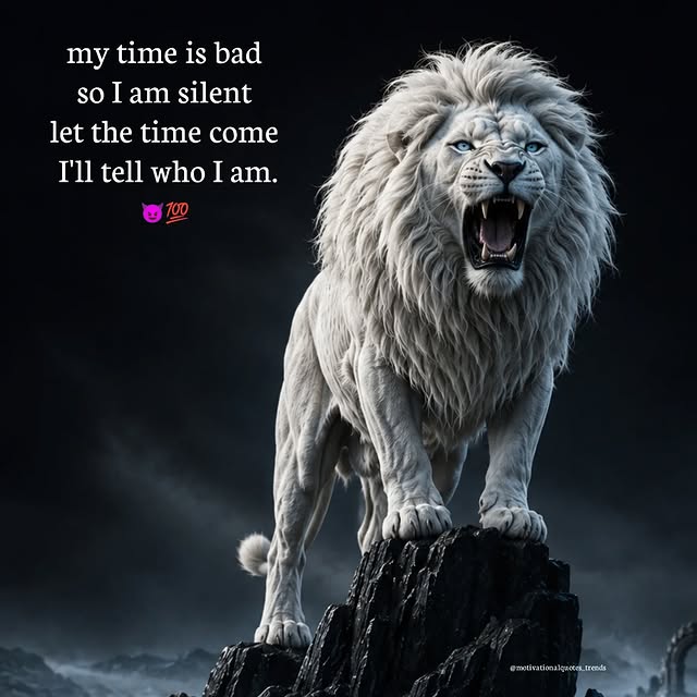  ............quotes_trends   'recent posts' 