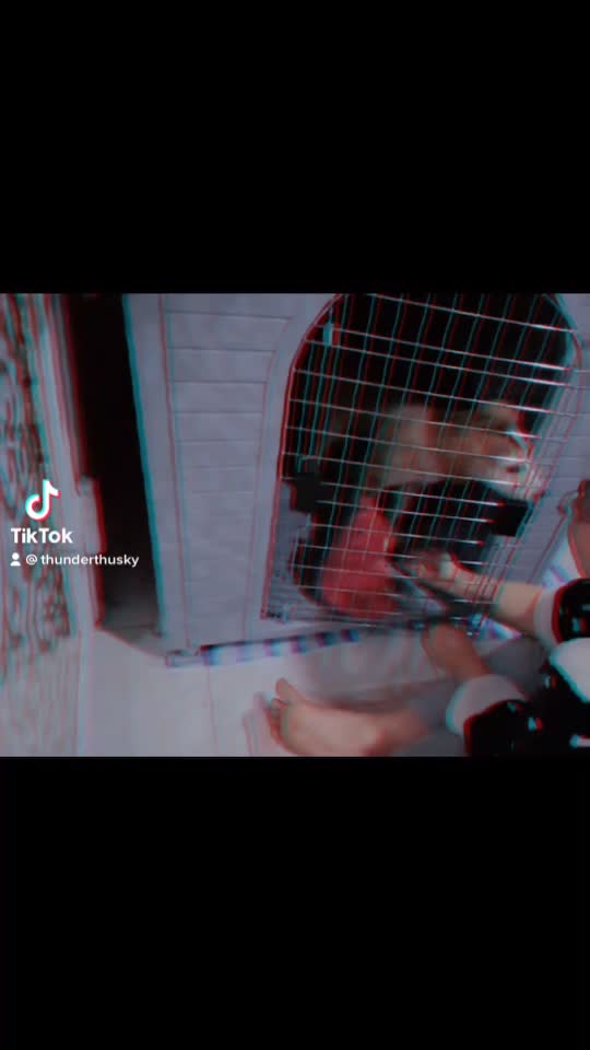  ......rthusky  'recent videos' 