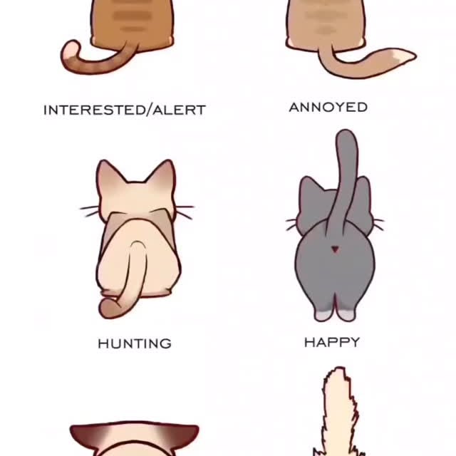  .......tie_cat   'recent posts' 
