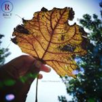  ......__zafar   'recent posts' 