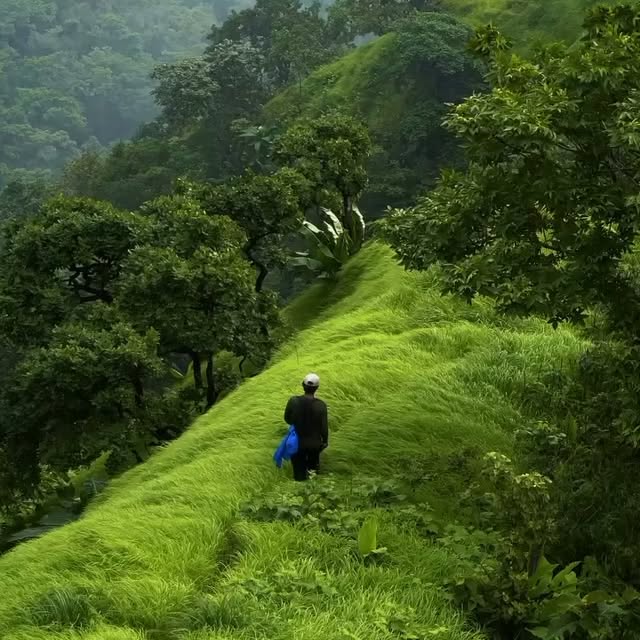  .......ureworld   'recent posts' 