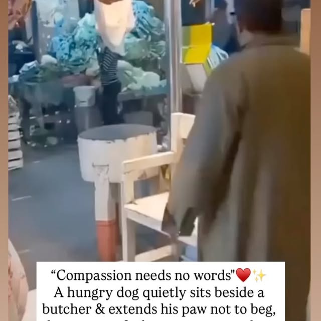  ....s.acc   'recent posts' 