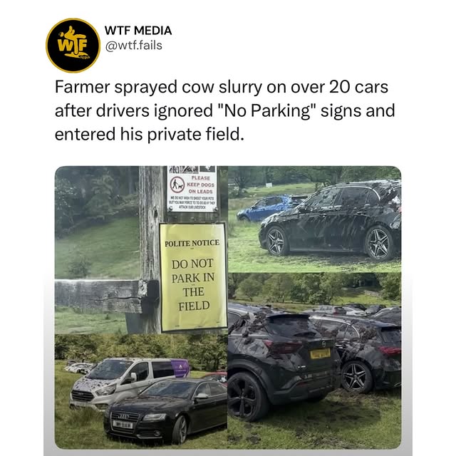  ....fails   'recent posts' 