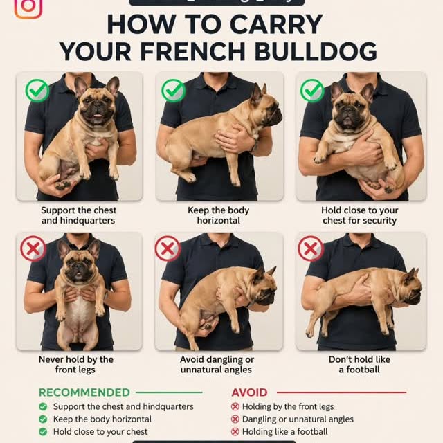  ..........ldogs_only   'recent posts' 