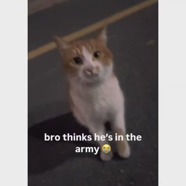  ........y_kittys   'recent posts' 