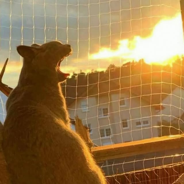  .......tie_cat   'recent posts' 