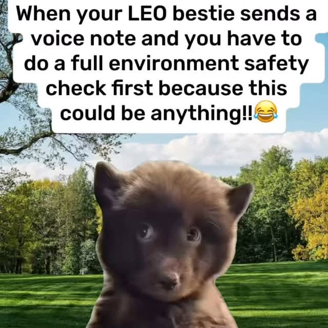  ......forleos   'recent posts' 