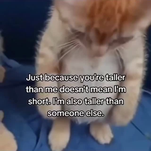  .....edoggo   'recent posts' 