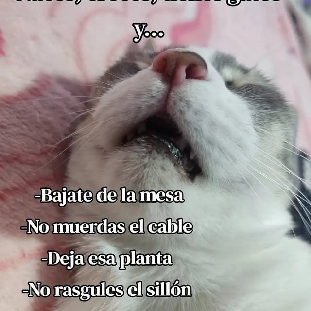  .....nanzis   'recent posts' 