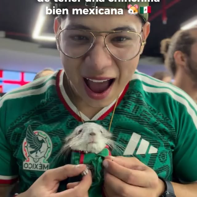  ........del_exito   'recent posts' 