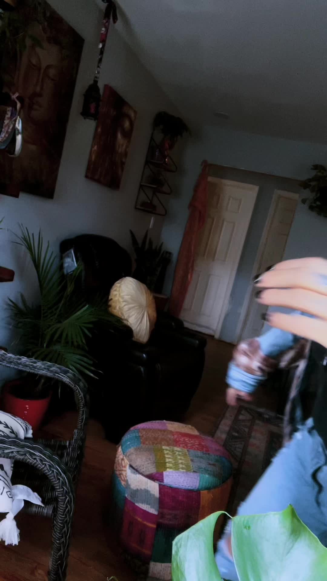  ......anelle  'recent videos' 