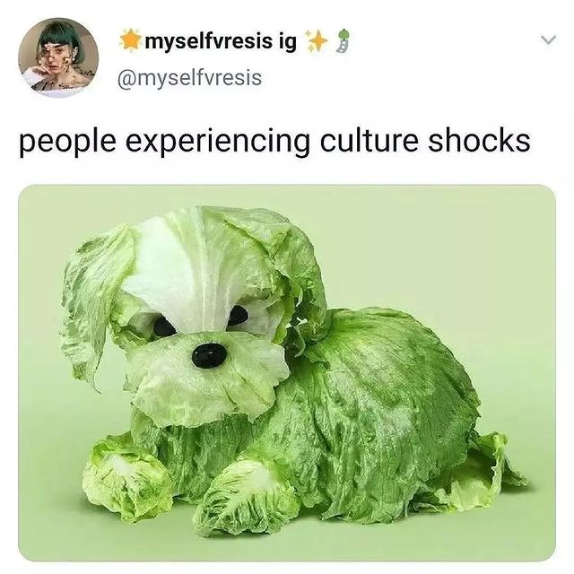  ........mme_meme   'recent posts' 